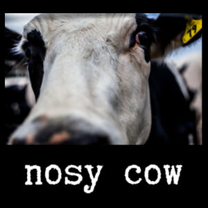 nosy cow Design