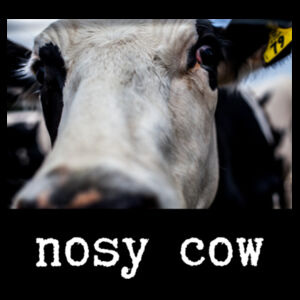 nosy cow Design