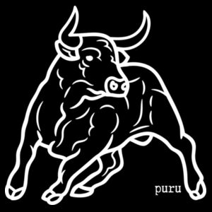 puru Design