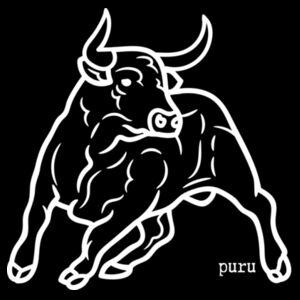 puru Design