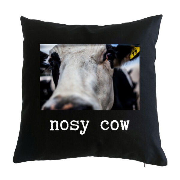 nosy cow Thumbnail